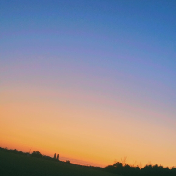 Meet your Posher, Emma - Picture 1 of 1